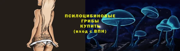 гашиш Касимов